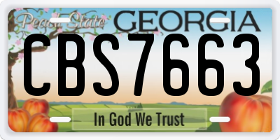 GA license plate CBS7663