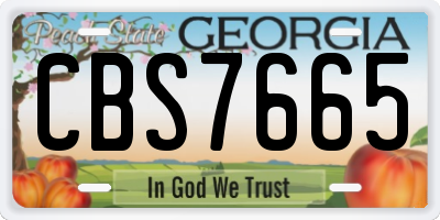 GA license plate CBS7665