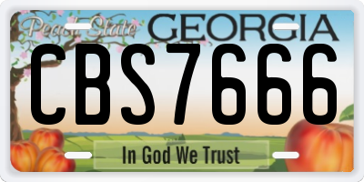 GA license plate CBS7666