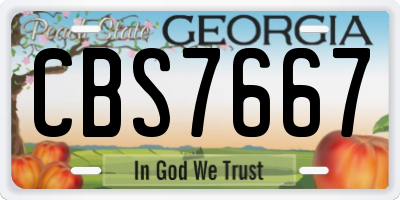 GA license plate CBS7667