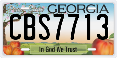 GA license plate CBS7713