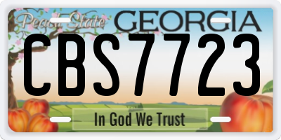 GA license plate CBS7723