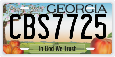 GA license plate CBS7725