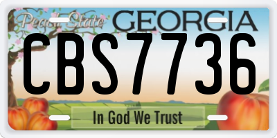 GA license plate CBS7736