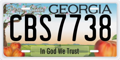 GA license plate CBS7738
