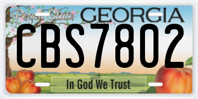 GA license plate CBS7802