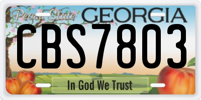 GA license plate CBS7803