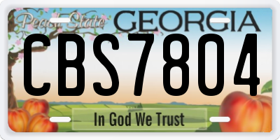 GA license plate CBS7804