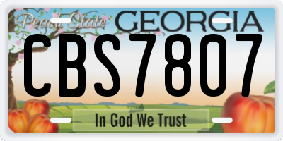 GA license plate CBS7807