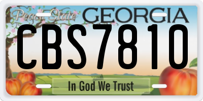 GA license plate CBS7810