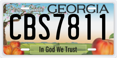 GA license plate CBS7811