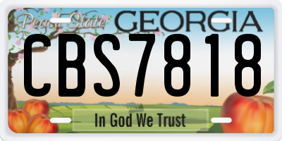 GA license plate CBS7818