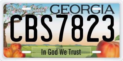 GA license plate CBS7823