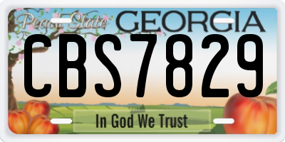 GA license plate CBS7829