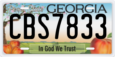 GA license plate CBS7833