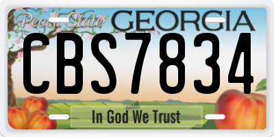 GA license plate CBS7834