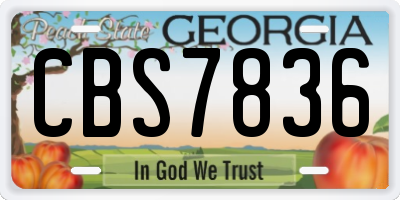 GA license plate CBS7836