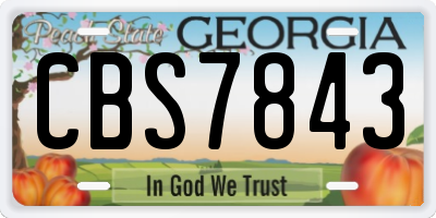 GA license plate CBS7843