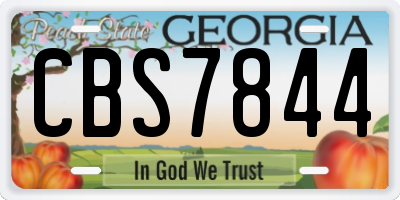 GA license plate CBS7844