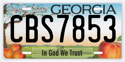 GA license plate CBS7853