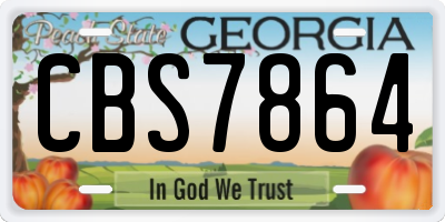 GA license plate CBS7864