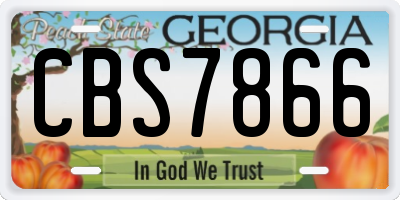 GA license plate CBS7866