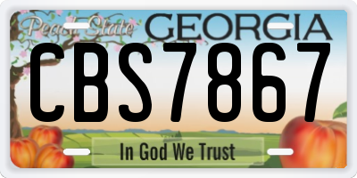 GA license plate CBS7867