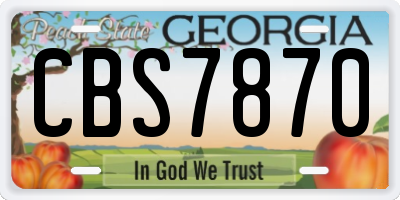GA license plate CBS7870