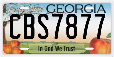 GA license plate CBS7877