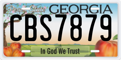 GA license plate CBS7879