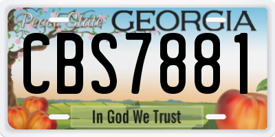 GA license plate CBS7881