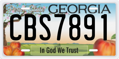 GA license plate CBS7891