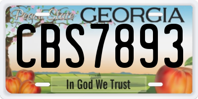 GA license plate CBS7893