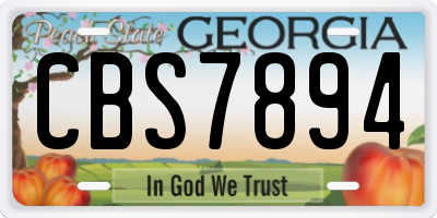 GA license plate CBS7894