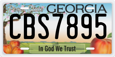 GA license plate CBS7895