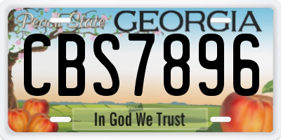GA license plate CBS7896