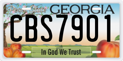 GA license plate CBS7901
