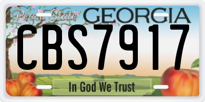 GA license plate CBS7917