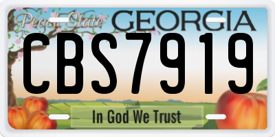 GA license plate CBS7919