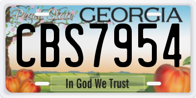 GA license plate CBS7954