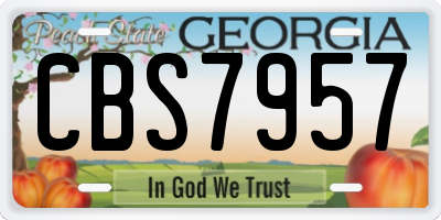 GA license plate CBS7957