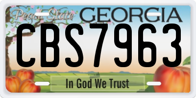 GA license plate CBS7963