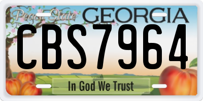 GA license plate CBS7964