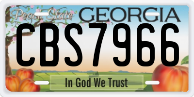 GA license plate CBS7966