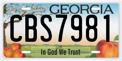 GA license plate CBS7981