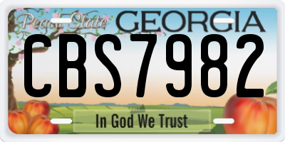 GA license plate CBS7982