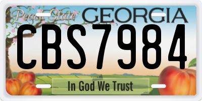 GA license plate CBS7984