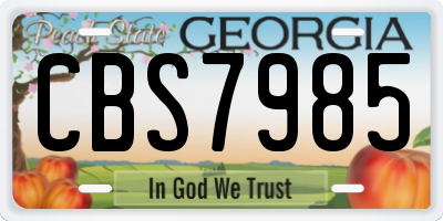 GA license plate CBS7985