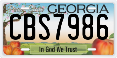 GA license plate CBS7986