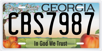 GA license plate CBS7987